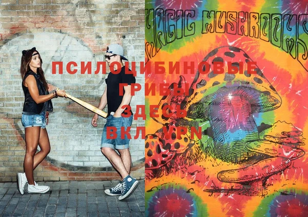 кокаин Новозыбков