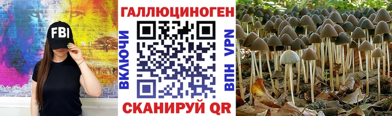 Псилоцибиновые грибы мухоморы  закладка  Торжок 