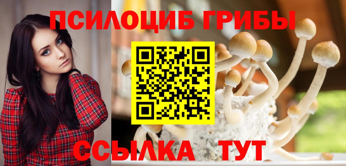 Торжок  Галлюциногенные грибы GOLDEN TEACHER  Вход с VPN  Галлюциногенные грибы Magic Shrooms 
