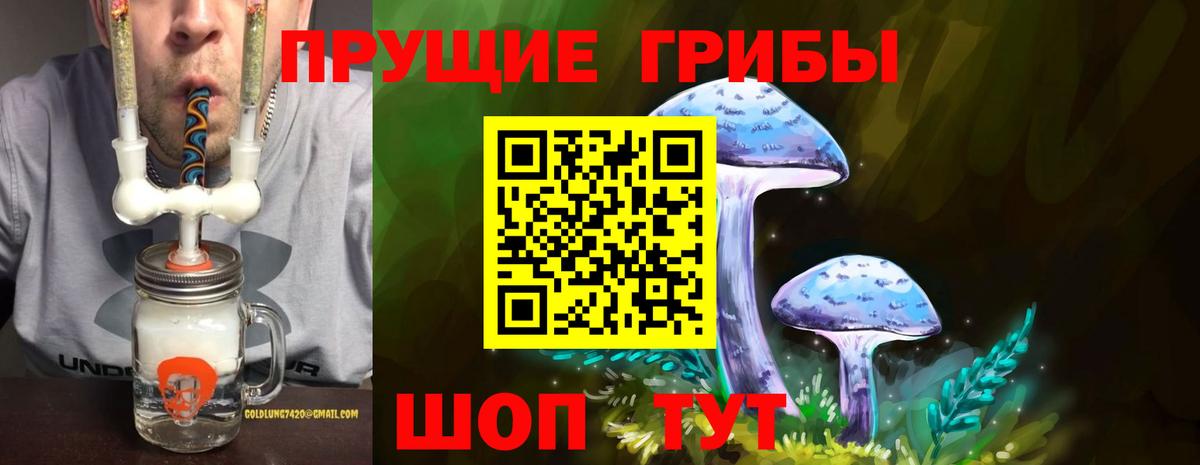 Галлюциногенные грибы Cubensis  Галлюциногенные грибы Psilocybe  Торжок 